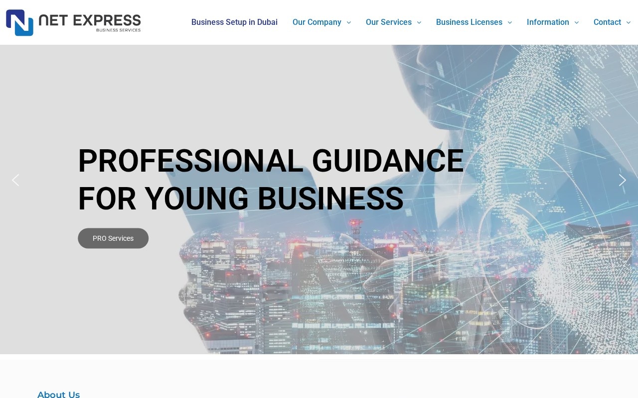 Netexpress UAE — homepage